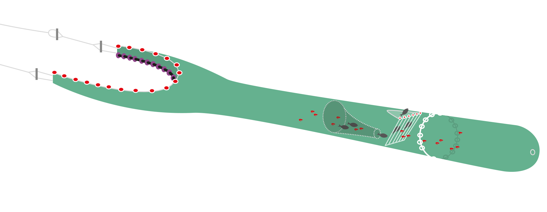 bottentral